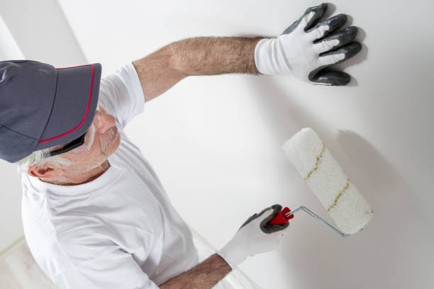 Best Comprehensive Air Testing for Mold Contaminants  in Richmond, IL