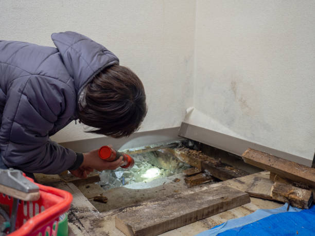 Best Indoor Air Quality Assessment  in Richmond, IL