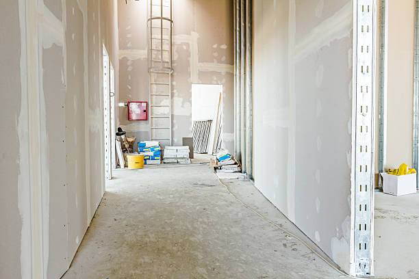 Mold Odor Removal Services in Richmond, IL