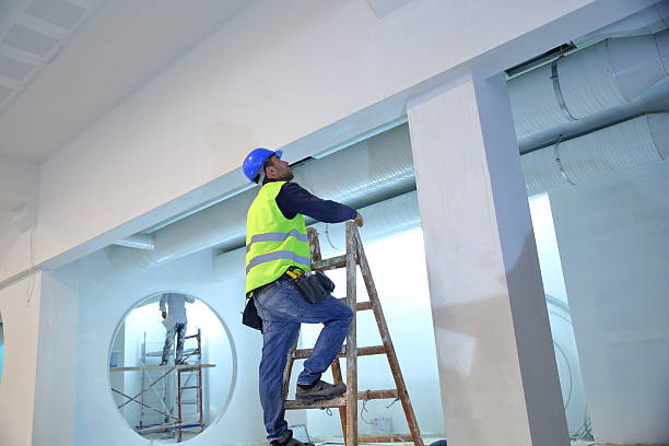 Richmond, IL Mold Removal Company